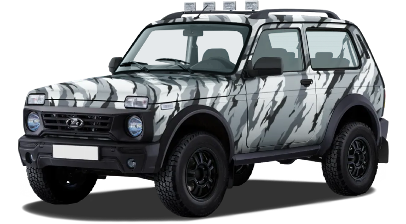 LADA Niva Bronto I, Комбинированный (10), 1137000 рублей, вид 2