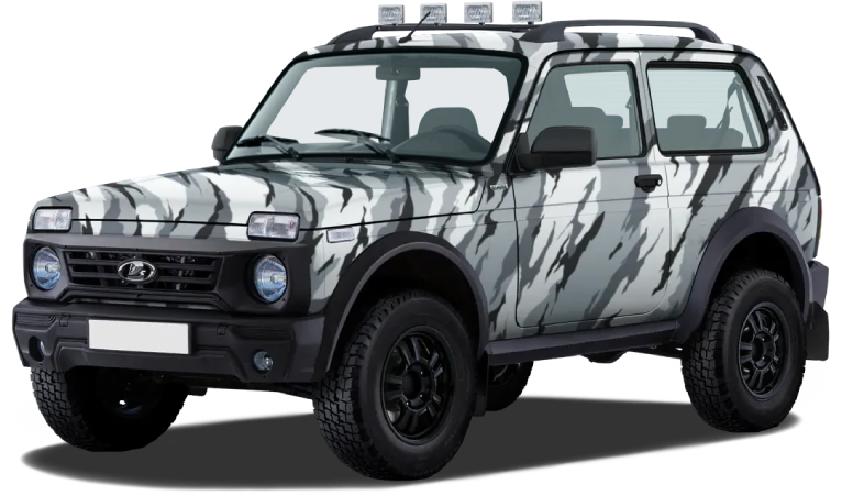LADA Niva Bronto I, Комбинированный (10), 1277000 рублей, вид 2