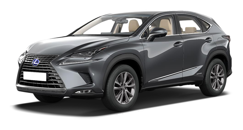 

Lexus NX 2.0 (238 л.с.) 6AT AWD, Серый металлик