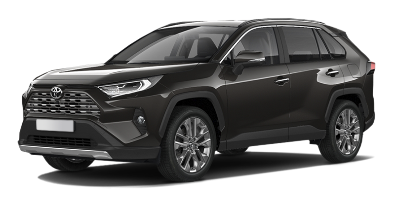 

Toyota RAV4 2.0 (149 л.с.) 6CVT AWD, Серо-коричневый;металлик