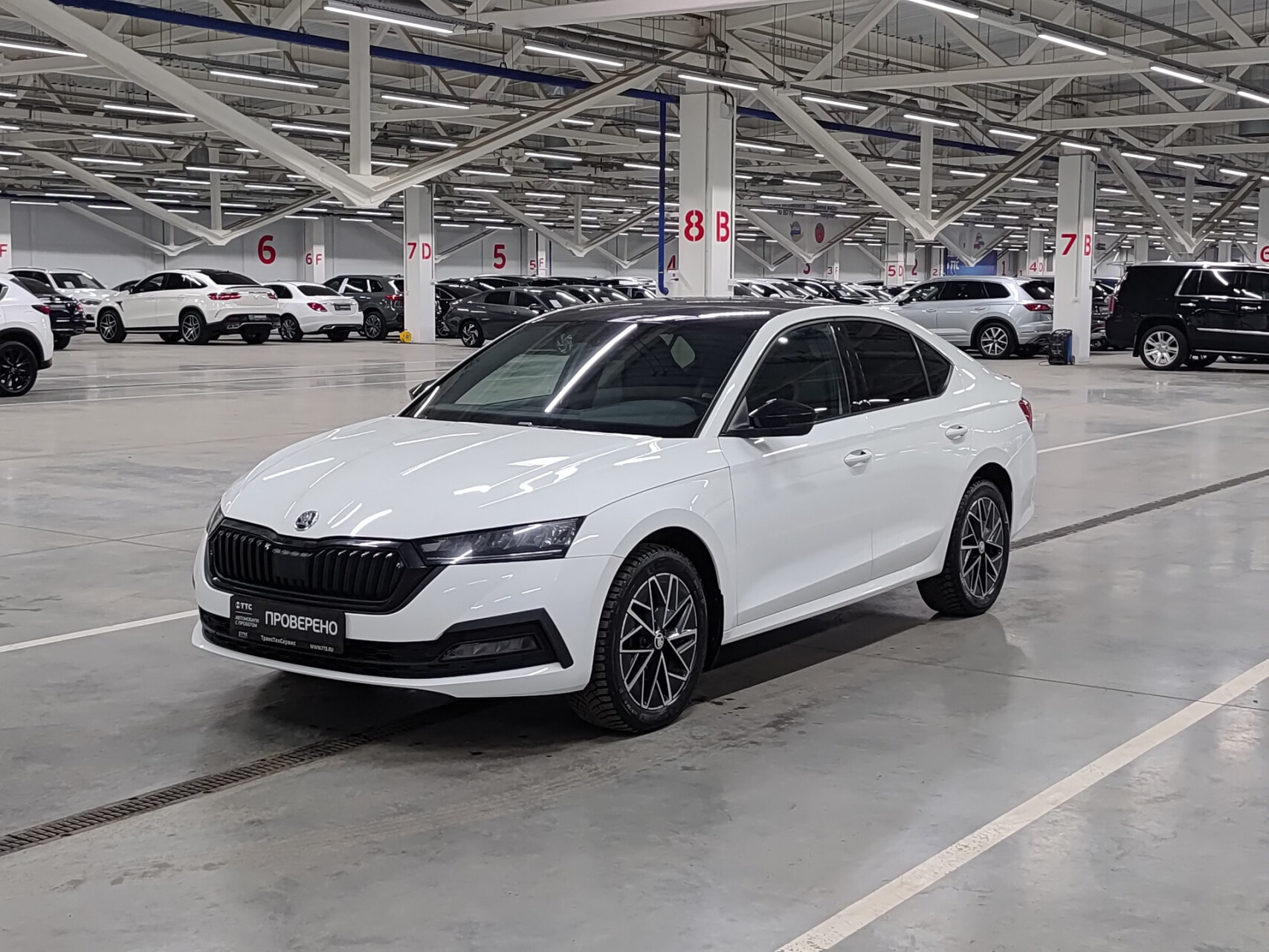 Skoda Octavia 2022 — миниатюра 1