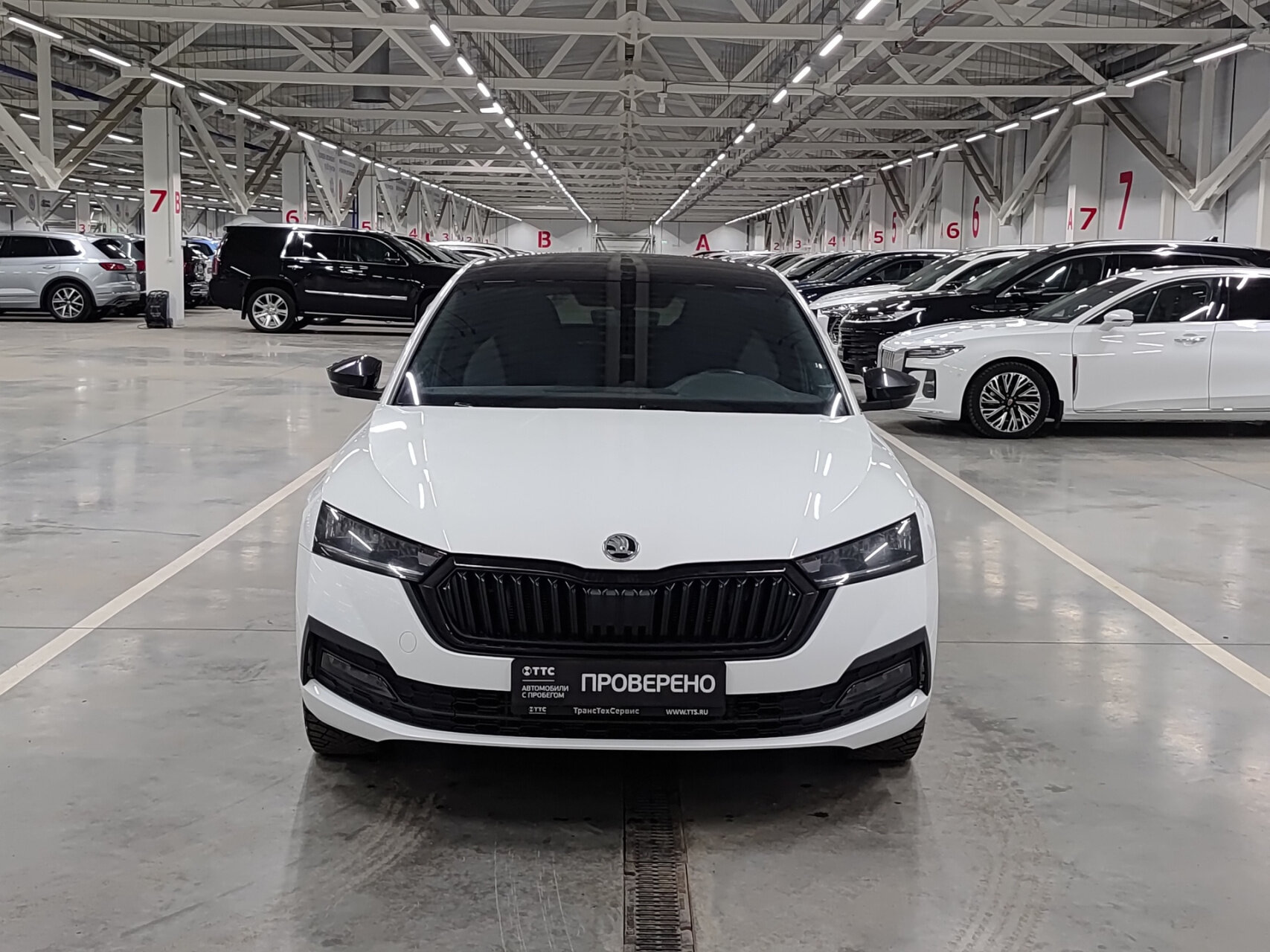 Skoda Octavia 2022 — миниатюра 2