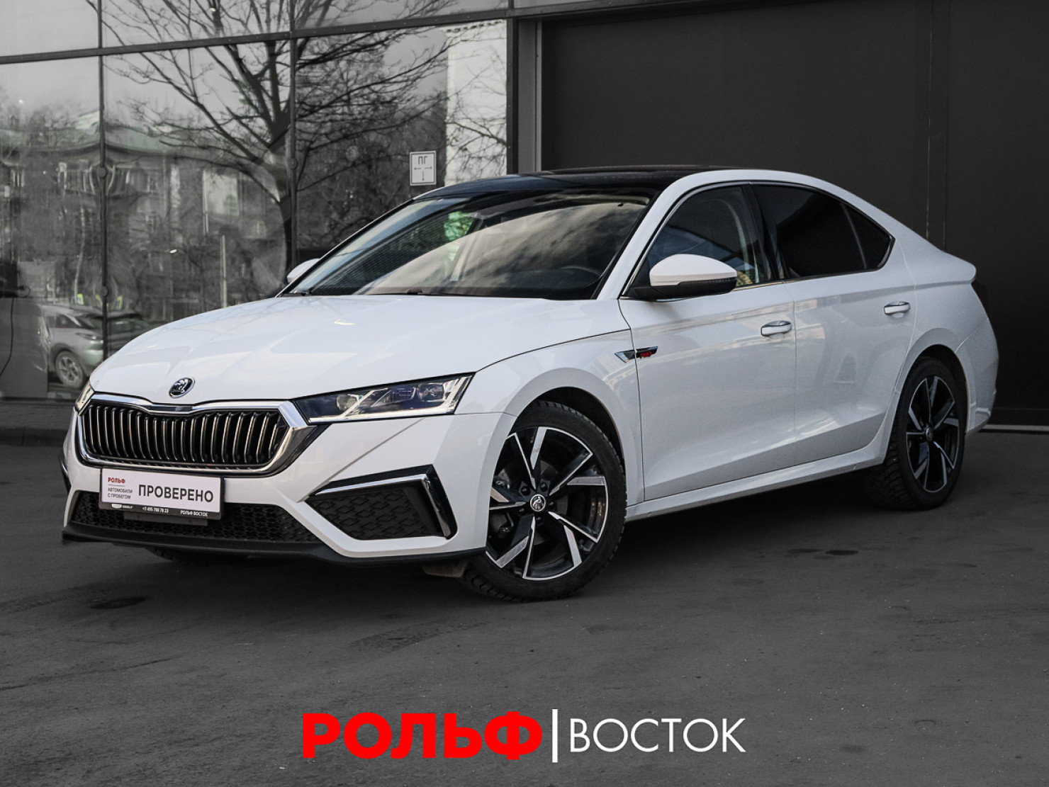 Skoda Octavia 2023 — миниатюра 1