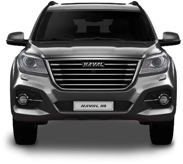 Цвет платиновый неон haval