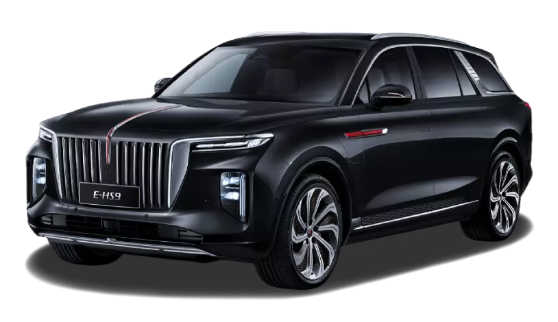Hongqi E-HS9 I, Черный / Dark Night, 7190000 рублей, вид 2