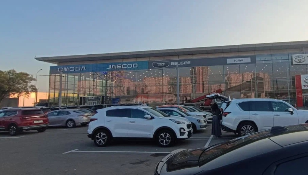 BELGEE РОЛЬФ Ясенево