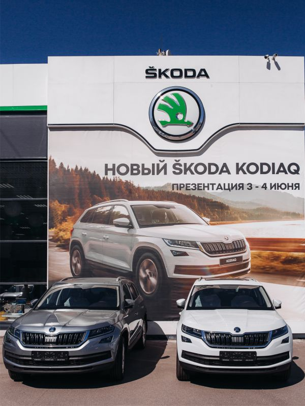 Гриффин-Авто Skoda