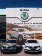 Гриффин-Авто Skoda