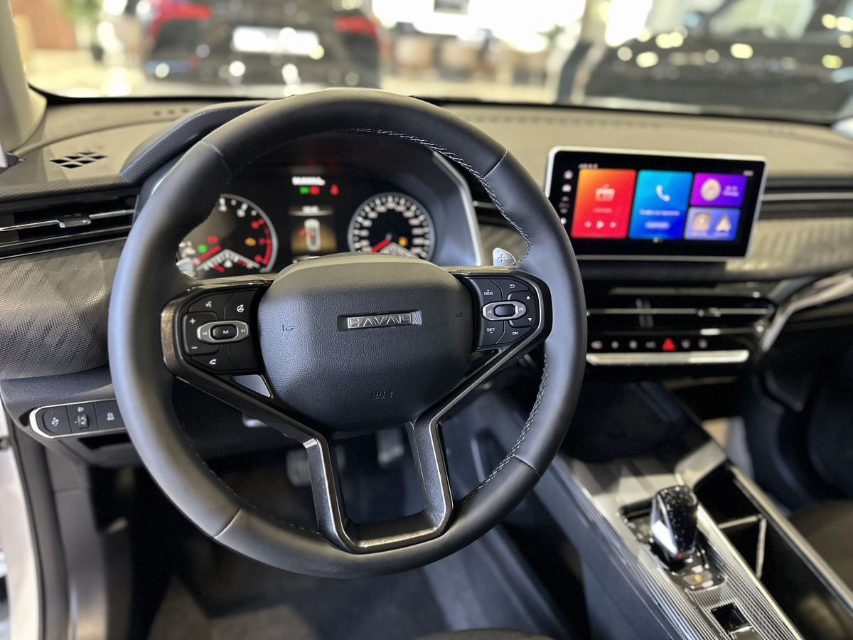 Haval Jolion I Рестайлинг, Благородный Агат, 2049000 рублей, вид 15