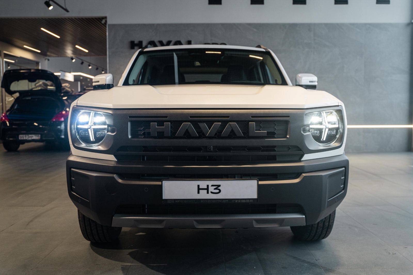 Haval H3 I Рестайлинг, Благородный Агат, 1847000 рублей, вид 21