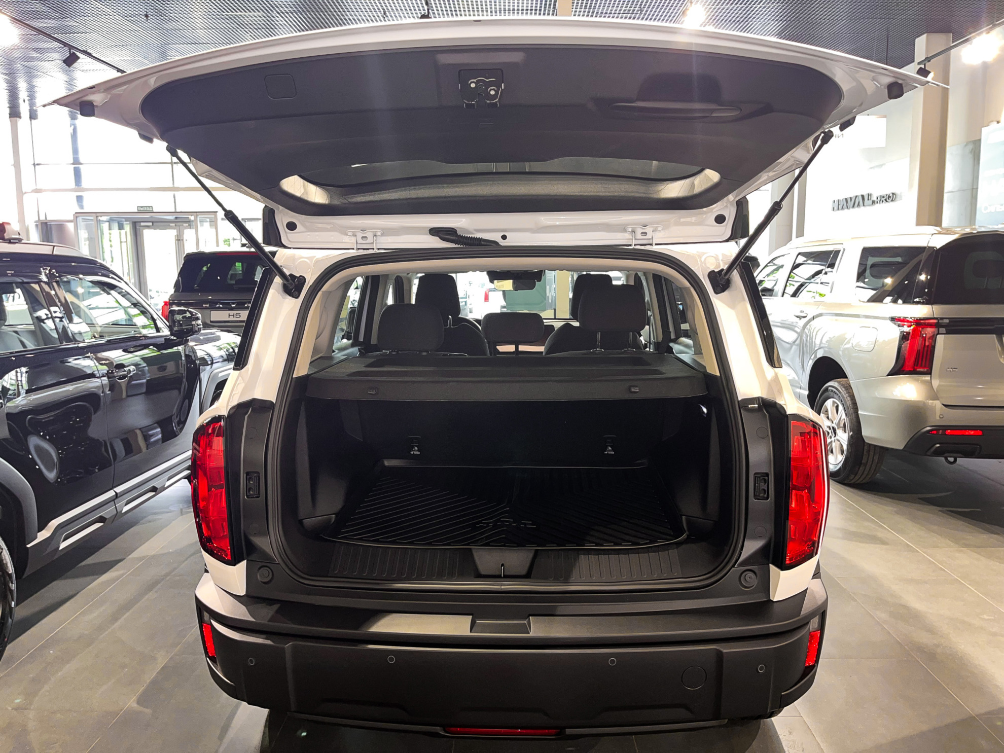 Haval H3 I Рестайлинг, Благородный Агат, 2195000 рублей, вид 16
