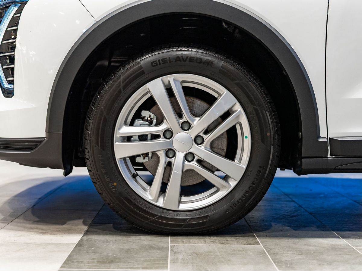 Haval Jolion I Рестайлинг, Благородный Агат, 2074010 рублей, вид 9