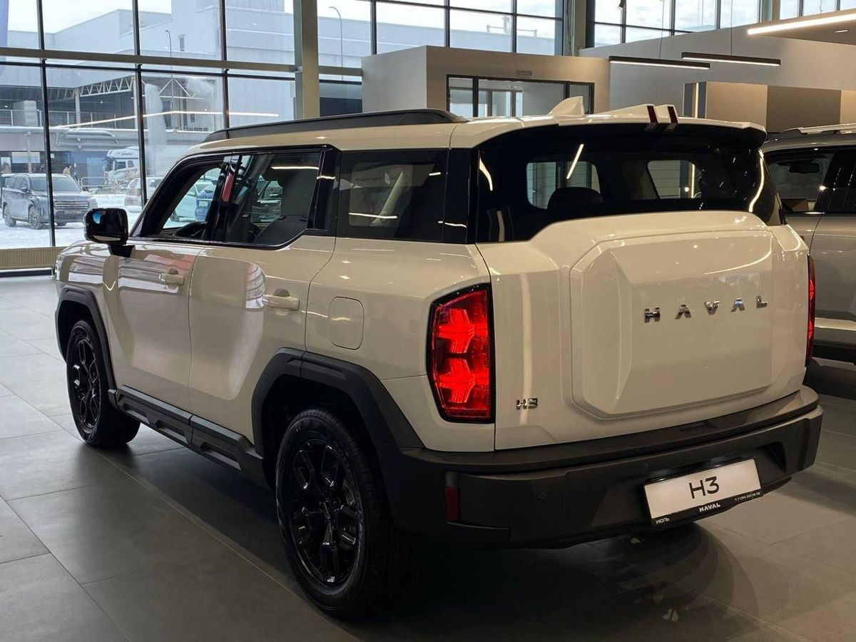 Haval H3 I Рестайлинг, Благородный Агат, 2650000 рублей, вид 7