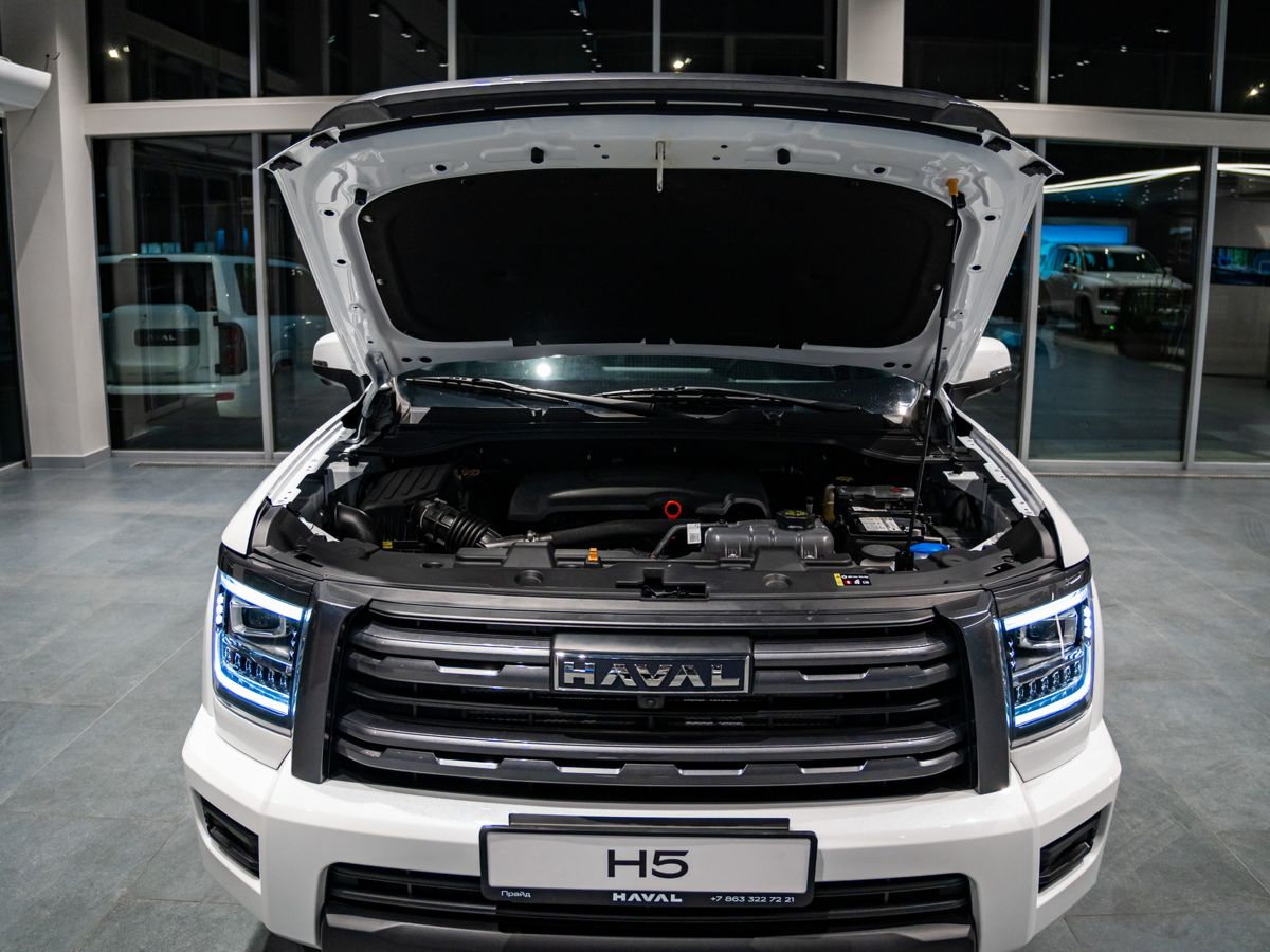 Haval H5 II, Снежный Опал, 3749000 рублей, вид 7