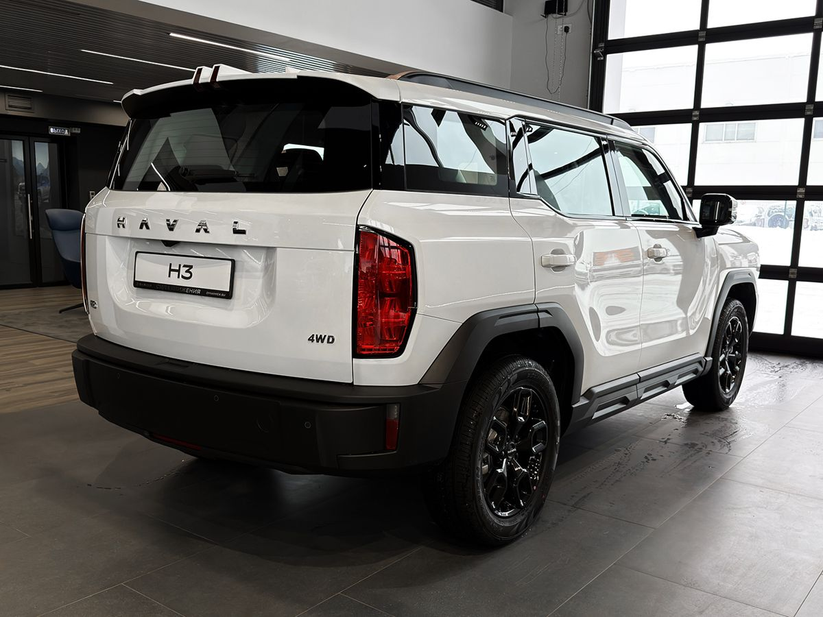 Haval H3 I Рестайлинг, Благородный Агат, 2699000 рублей, вид 5