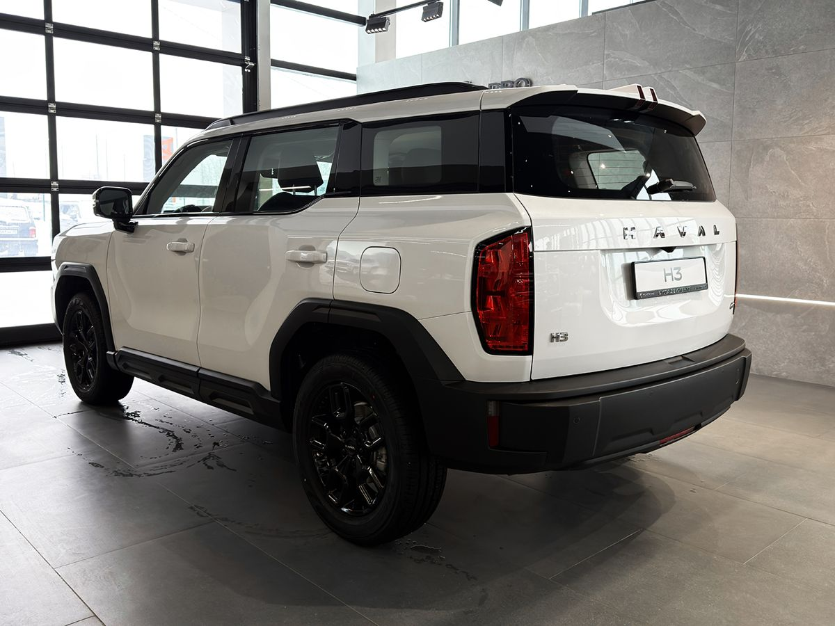 Haval H3 I Рестайлинг, Благородный Агат, 2699000 рублей, вид 7