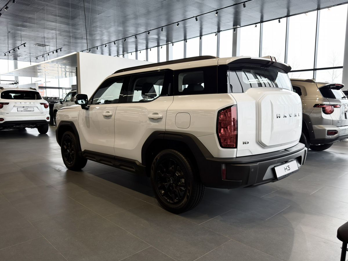 Haval H3 I Рестайлинг, Благородный Агат, 2399000 рублей, вид 6