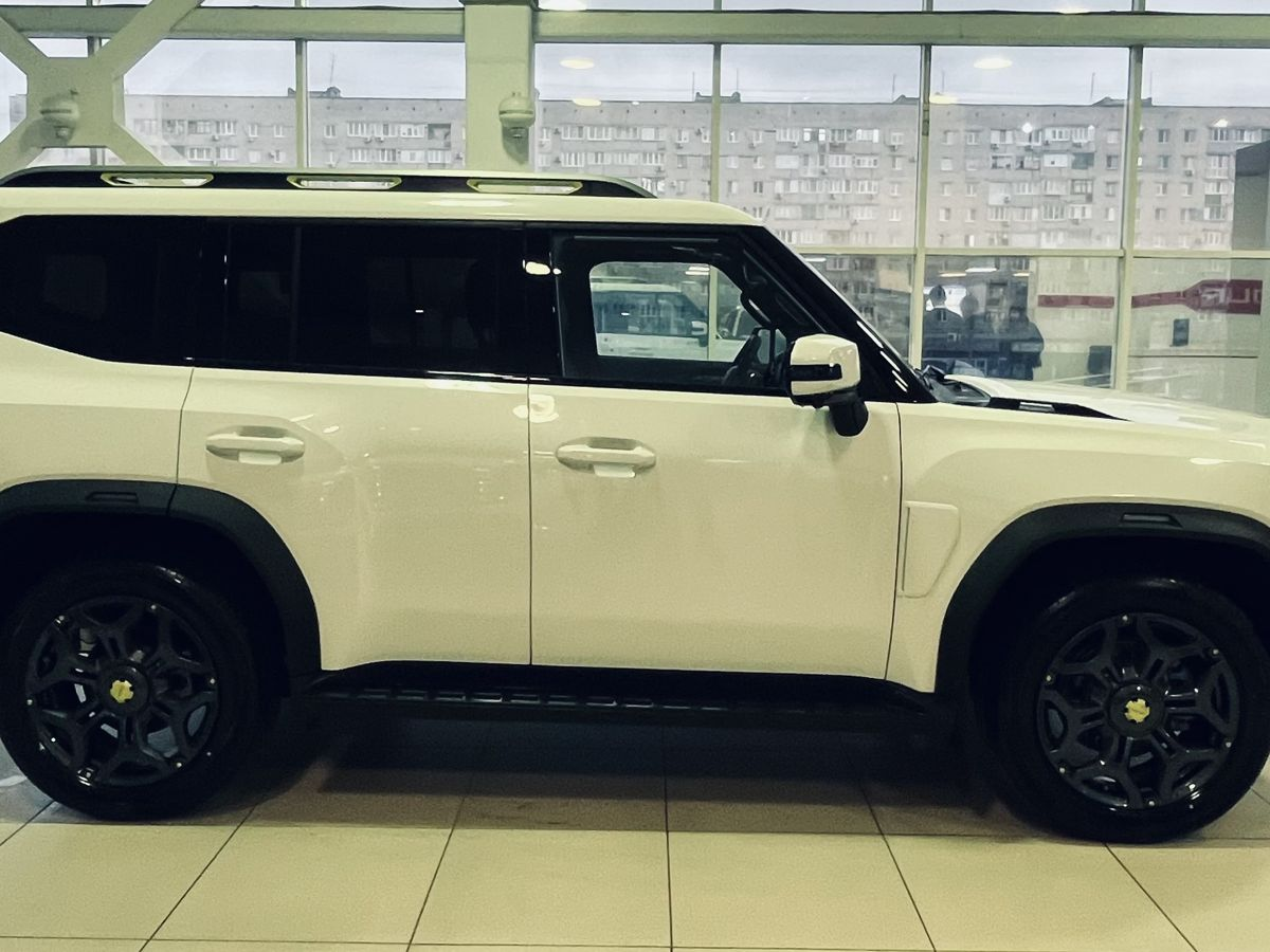 Jetour T2 I, Белый, 3750000 рублей, вид 8