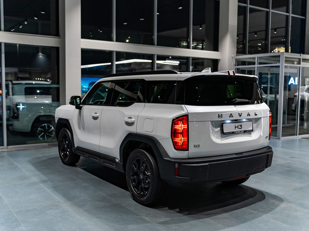 Haval H3 I, Благородный Агат, 2949000 рублей, вид 8