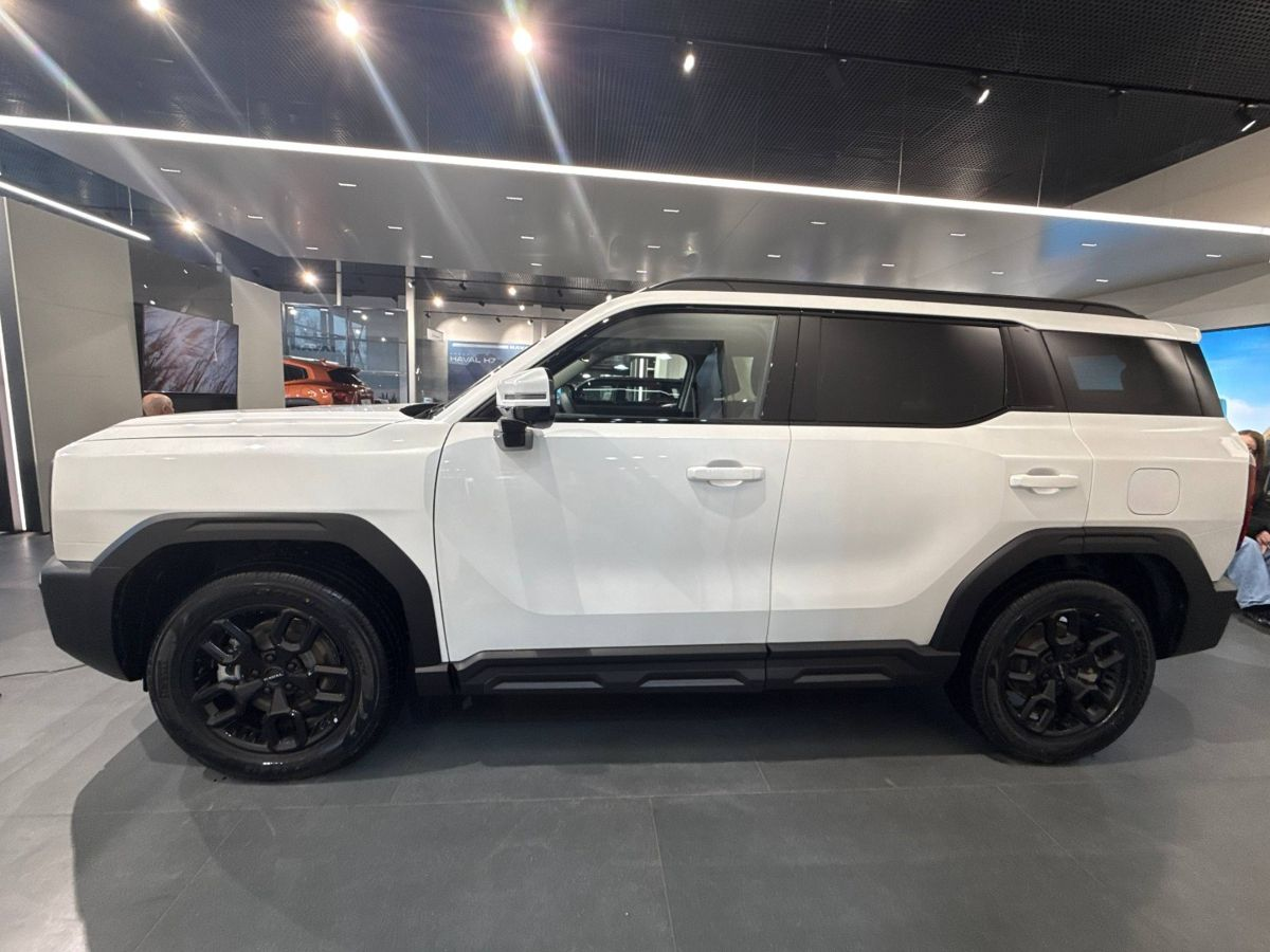 Haval H3 I Рестайлинг, Благородный Агат, 2599000 рублей, вид 8