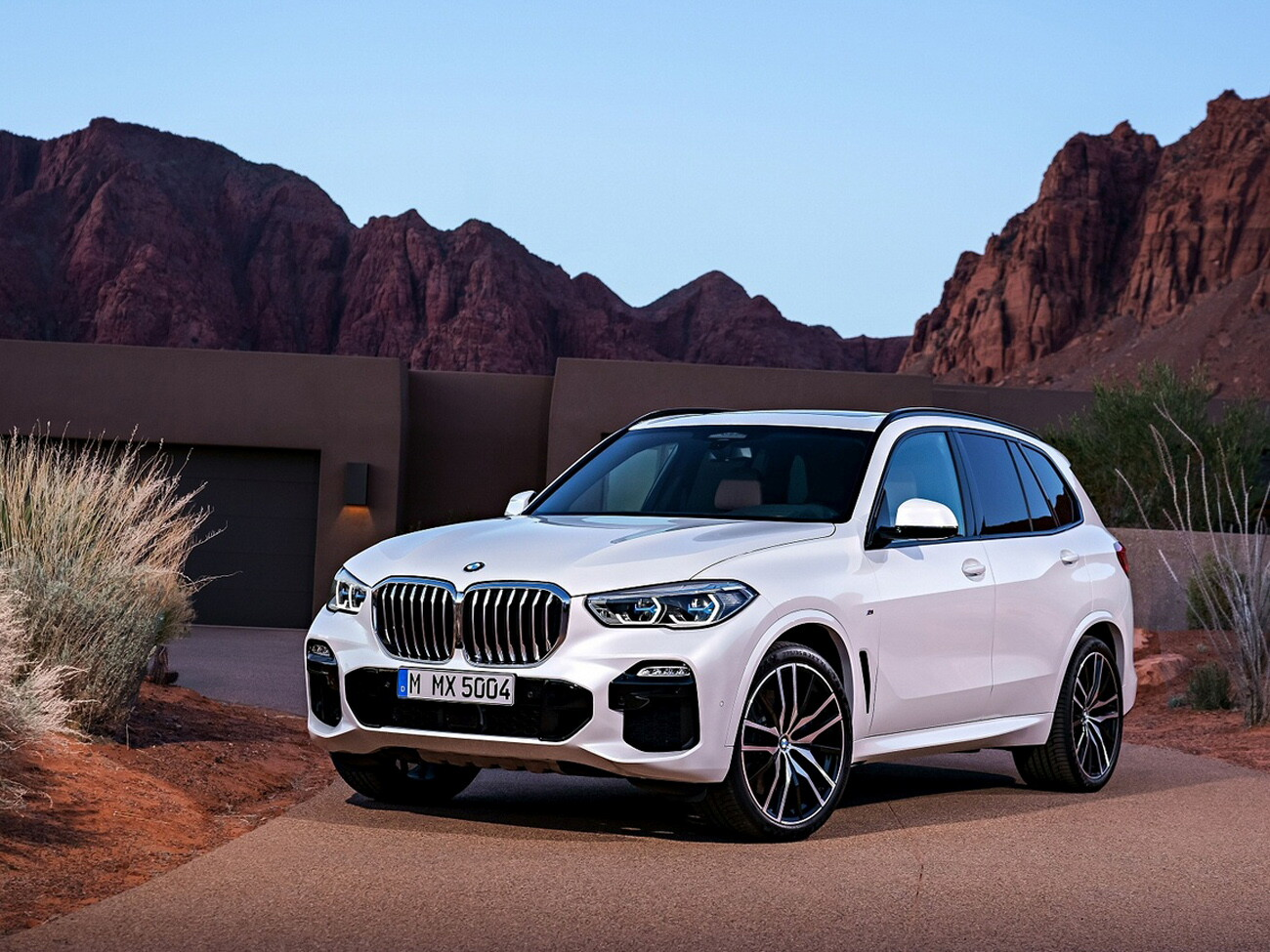 BMW X5 IV (G05), Москва, от 9600000 рублей, вид 4
